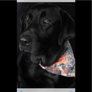 Help My Mommy clean out her closet!